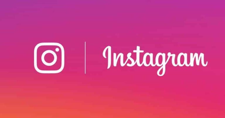 instagram seguidor