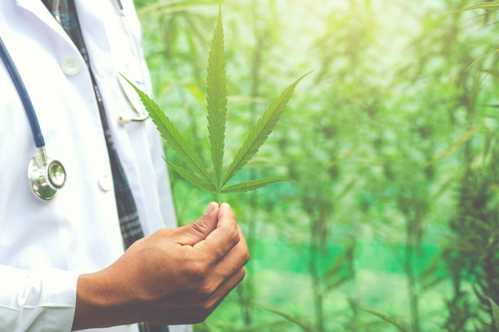 Cannabis faz mal à saúde? 2 Cannabis faz mal a saude1