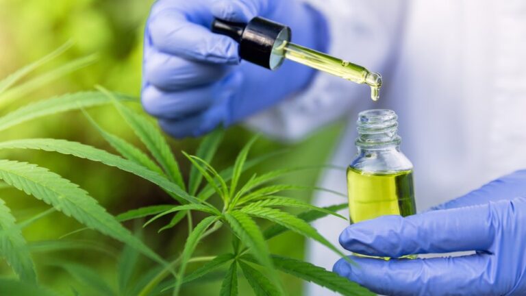 Cannabis faz mal a saude3